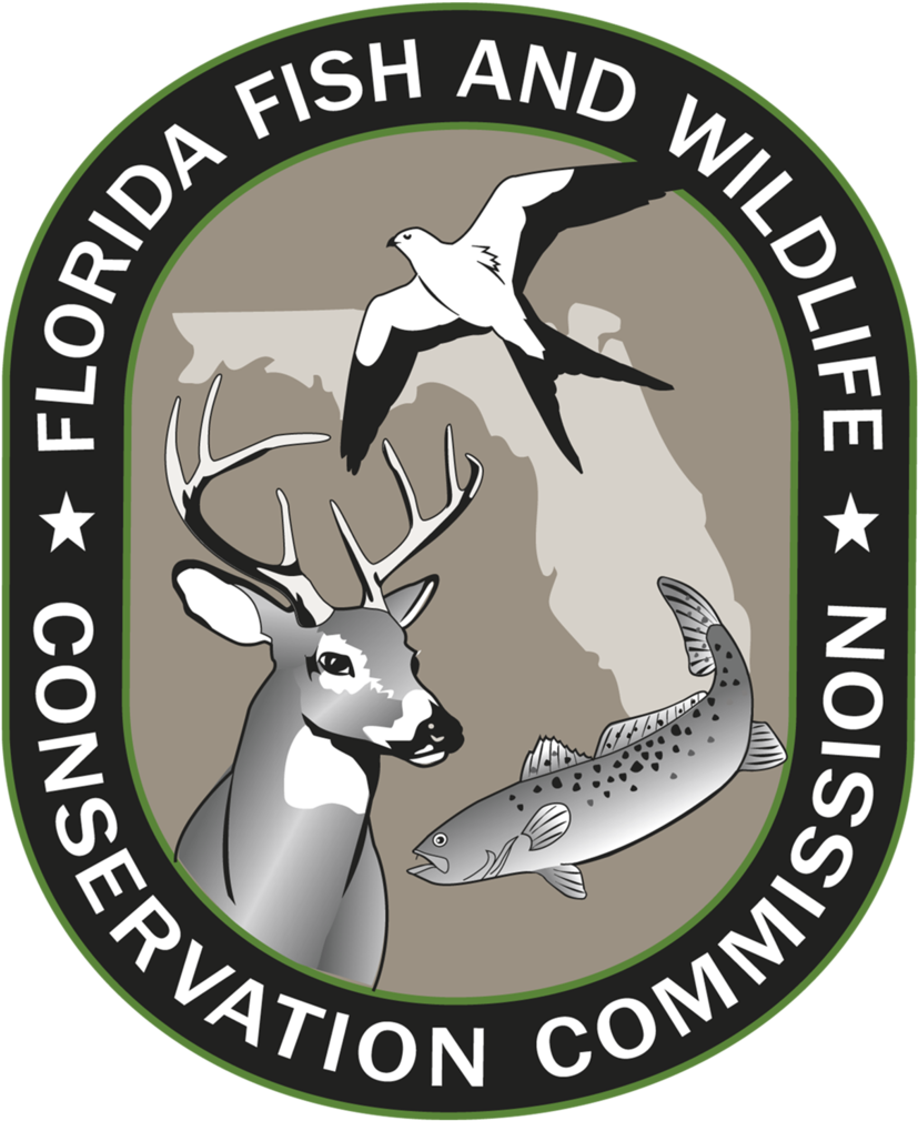 Florida boating license online exam drive a boat usa